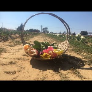 Meet your Posher, Chloe